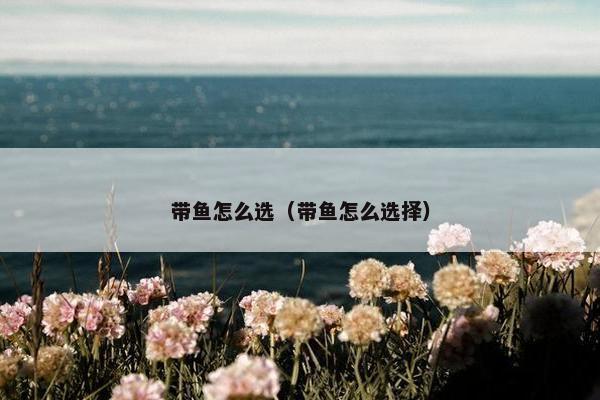 带鱼怎么选（带鱼怎么选择）