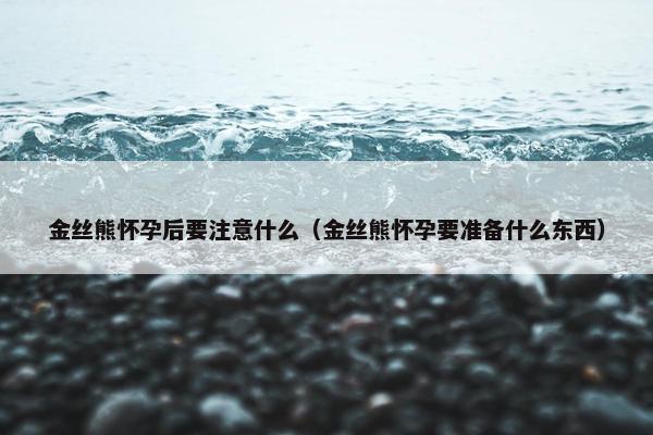 金丝熊怀孕后要注意什么（金丝熊怀孕要准备什么东西）