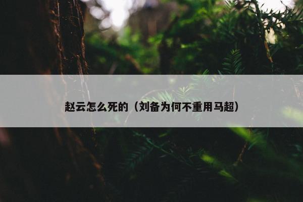 赵云怎么死的（刘备为何不重用马超）