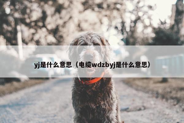 yj是什么意思（电缆wdzbyj是什么意思）