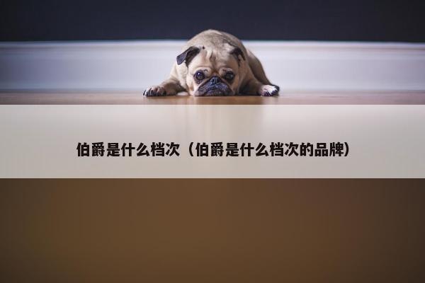 伯爵是什么档次（伯爵是什么档次的品牌）