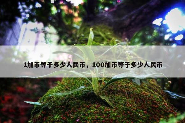 1加币等于多少人民币，100加币等于多少人民币