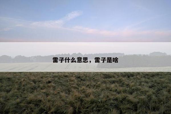 雷子什么意思，雷子是啥