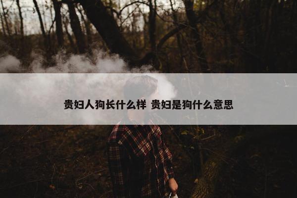 贵妇人狗长什么样 贵妇是狗什么意思