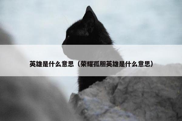 英雄是什么意思（荣耀孤胆英雄是什么意思）