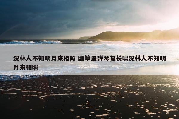 深林人不知明月来相照 幽篁里弹琴复长啸深林人不知明月来相照