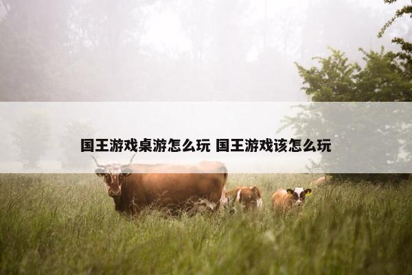 国王游戏桌游怎么玩 国王游戏该怎么玩