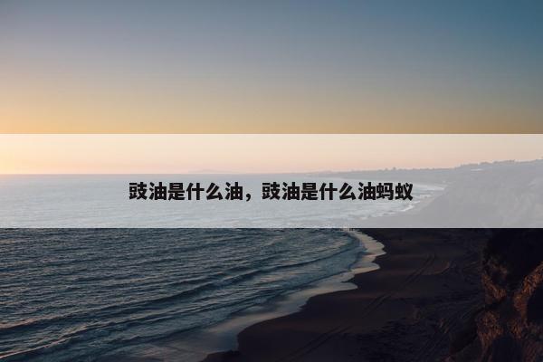 豉油是什么油，豉油是什么油蚂蚁