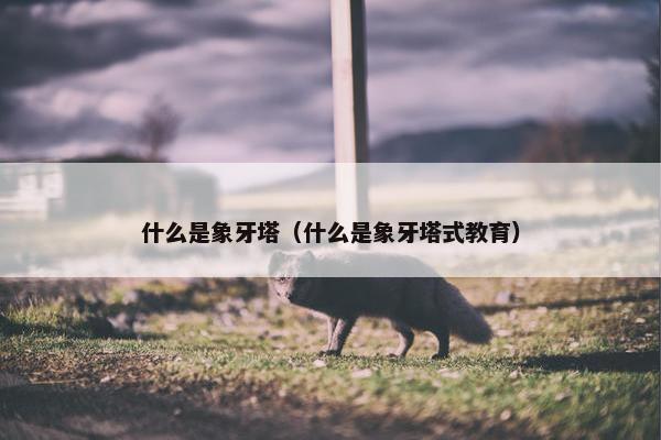 什么是象牙塔（什么是象牙塔式教育）