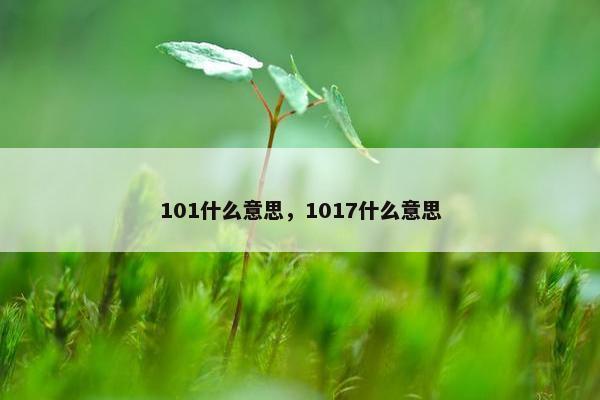 101什么意思，1017什么意思