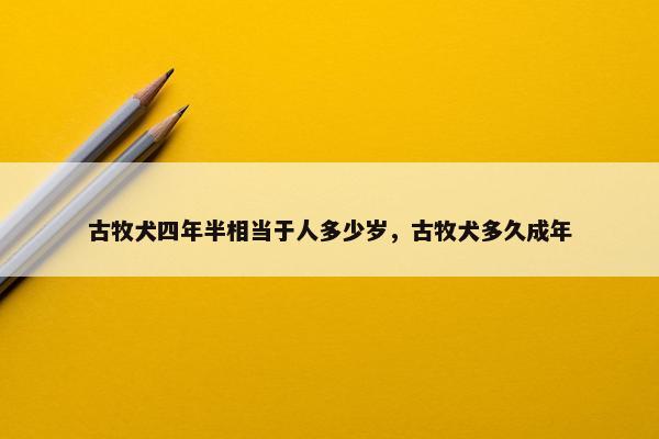 古牧犬四年半相当于人多少岁，古牧犬多久成年