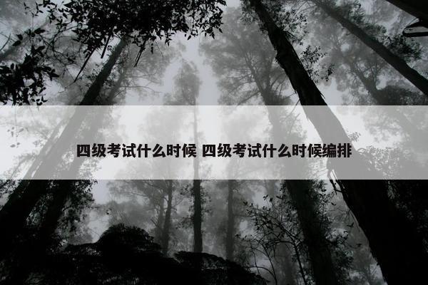 四级考试什么时候 四级考试什么时候编排