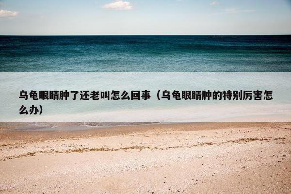 乌龟眼睛肿了还老叫怎么回事（乌龟眼睛肿的特别厉害怎么办）