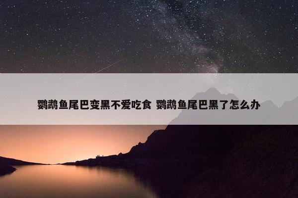 鹦鹉鱼尾巴变黑不爱吃食 鹦鹉鱼尾巴黑了怎么办