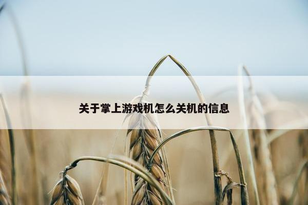 关于掌上游戏机怎么关机的信息