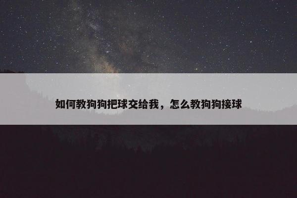 如何教狗狗把球交给我，怎么教狗狗接球