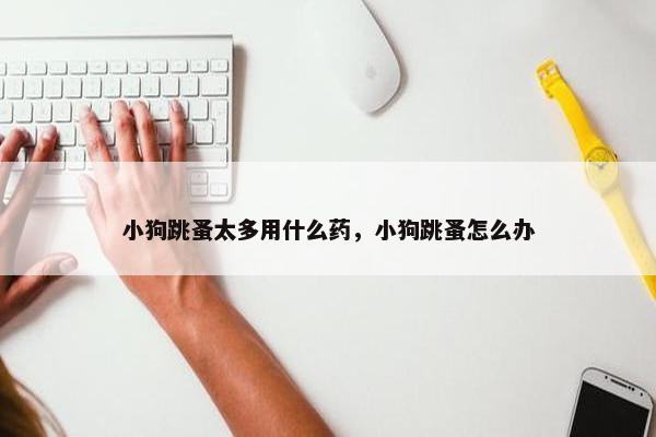 小狗跳蚤太多用什么药，小狗跳蚤怎么办