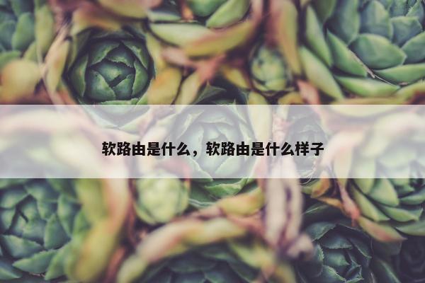 软路由是什么，软路由是什么样子