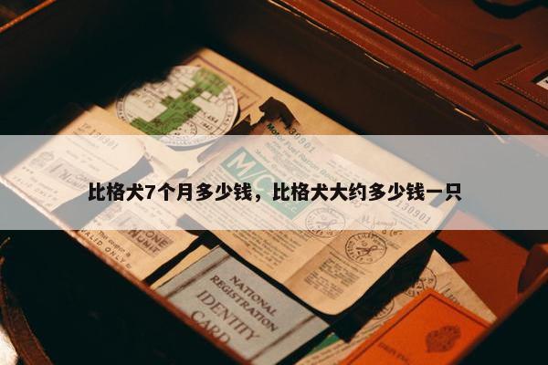 比格犬7个月多少钱，比格犬大约多少钱一只