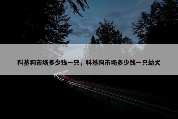 科基狗市场多少钱一只，科基狗市场多少钱一只幼犬