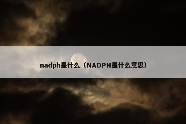 nadph是什么（NADPH是什么意思）