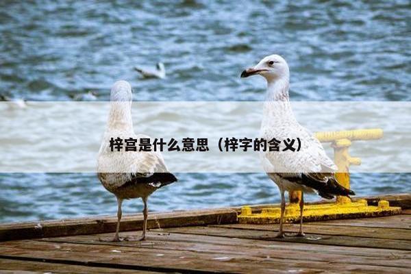 梓宫是什么意思（梓字的含义）