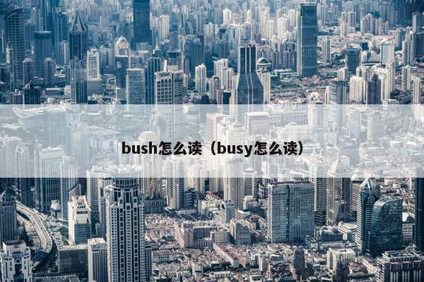 bush怎么读（busy怎么读）