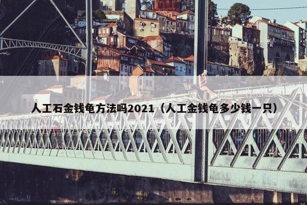 人工石金钱龟方法吗2021（人工金钱龟多少钱一只）