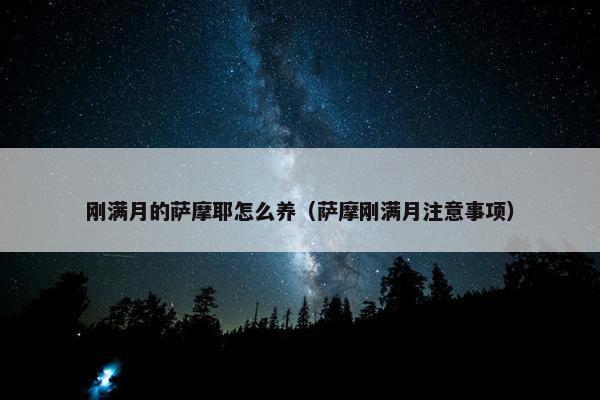 刚满月的萨摩耶怎么养（萨摩刚满月注意事项）