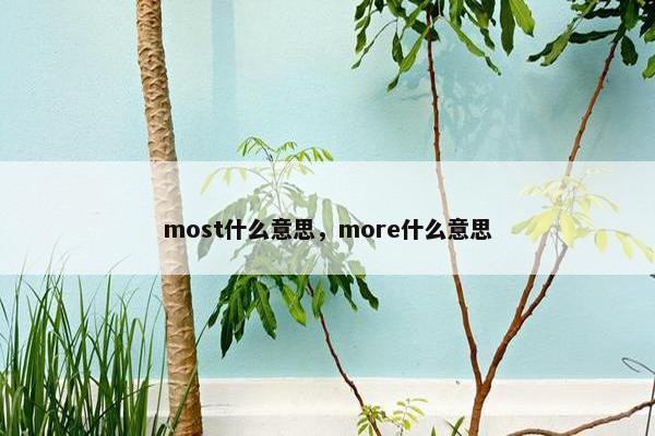 most什么意思，more什么意思