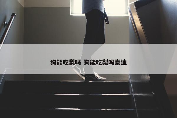 狗能吃梨吗 狗能吃梨吗泰迪