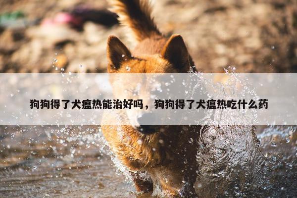 狗狗得了犬瘟热能治好吗，狗狗得了犬瘟热吃什么药