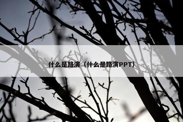 什么是路演（什么是路演PPT）