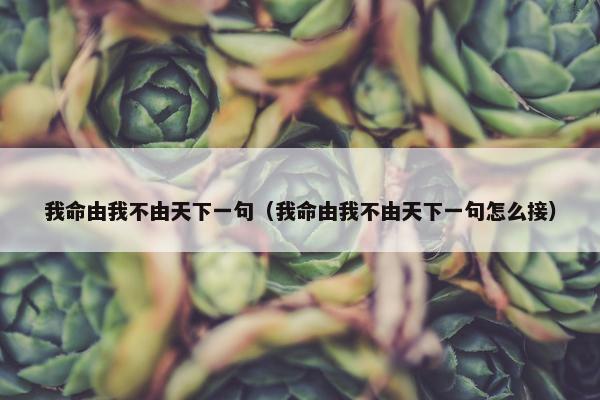 我命由我不由天下一句（我命由我不由天下一句怎么接）