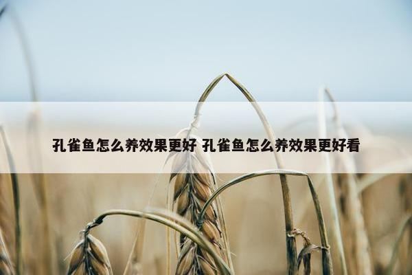 孔雀鱼怎么养效果更好 孔雀鱼怎么养效果更好看