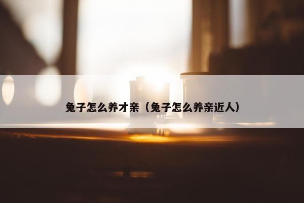 兔子怎么养才亲（兔子怎么养亲近人）