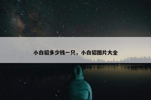 小白貂多少钱一只，小白貂图片大全