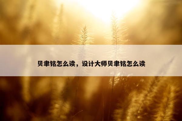 贝聿铭怎么读，设计大师贝聿铭怎么读