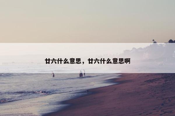 廿六什么意思，廿六什么意思啊