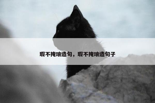 瑕不掩瑜造句，瑕不掩瑜造句子