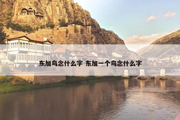 东加鸟念什么字 东加一个鸟念什么字