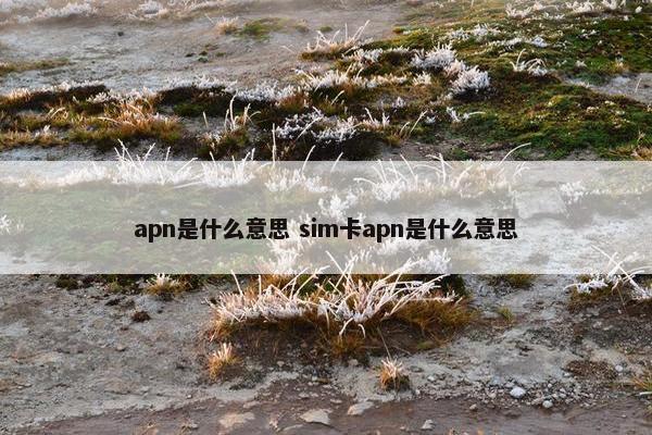 apn是什么意思 sim卡apn是什么意思