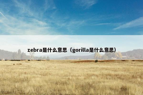 zebra是什么意思（gorilla是什么意思）