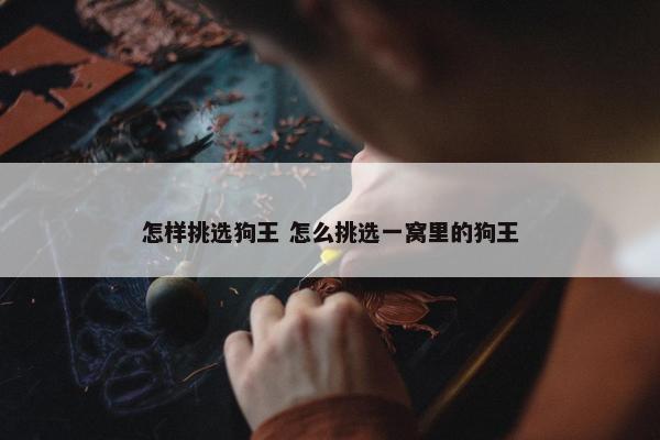 怎样挑选狗王 怎么挑选一窝里的狗王