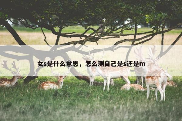 女s是什么意思，怎么测自己是s还是m