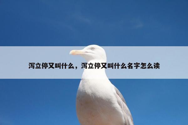 泻立停又叫什么，泻立停又叫什么名字怎么读