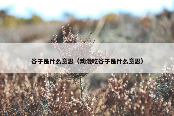 谷子是什么意思（动漫吃谷子是什么意思）