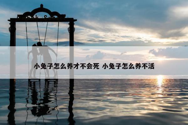 小兔子怎么养才不会死 小兔子怎么养不活