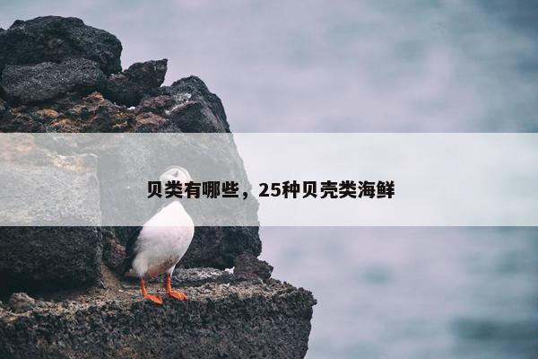 贝类有哪些，25种贝壳类海鲜