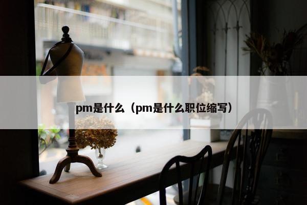 pm是什么（pm是什么职位缩写）